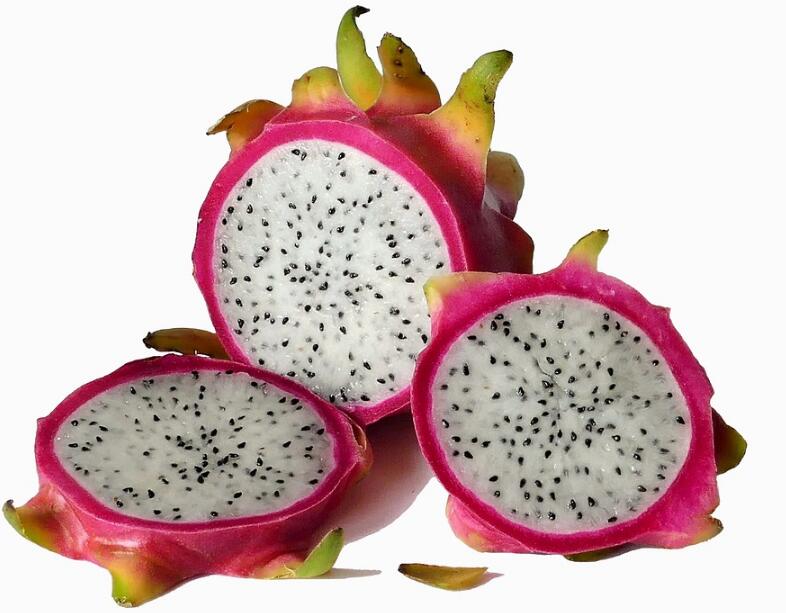 ϻĻǰܻ