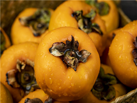 ŮԾڲܳԵˮЩ 4ˮܲԾͲ